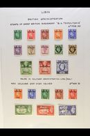 TRIPOLITANIA A Complete "Postage" Issues Collection With 1948 "BMA" Overprints Complete Set, 1950 "B A" Overprints Compl - Africa Orientale Italiana