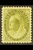 1898 20c Olive Green, SG 165, Very Fine Mint , Large Part Og, Well Centered With Sharp Impression And Full Colour. For M - Altri & Non Classificati