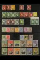 1864-1949 ATTRACTIVE MINT COLLECTION On Stock Pages, ALL DIFFERENT, Includes 1864-80 Perf 12½ 1d Type A, 1d Type C (unus - Isola Di Sant'Elena