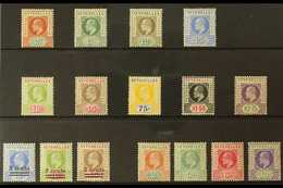 1903-06 KEVII MINT SELECTION Presented On A Stock Card That Includes 1903 CA Wmk Range With Most Values To 2r25, 1903 Su - Seychelles (...-1976)