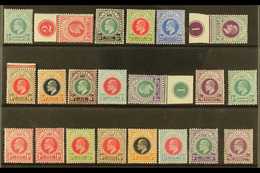 NATAL 1902-1904 FINE MINT COLLECTION On A Stock Card, All Different, Includes 1902-03 Set To 2s6d Incl 1d, 3d & 6d Plate - Non Classificati