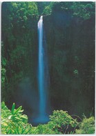 US.- Beautiful AKAKA FALLS STATE PARK. ISLAND Of HAWAII. 1998 - Big Island Of Hawaii