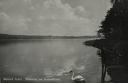 NOTTWIL Stimmung Am Sempachersee - Sempach