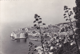 CROATIE,CROATIA,DUBROVNIK ,neretva,raguse,cote Dalmate,clocher,zvonik,TIMBRE JUGOSLAVIJA,CARTE PHOTO - Croatie