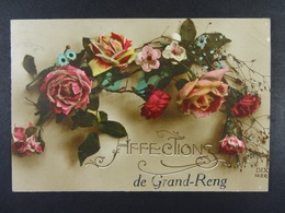 Affections De Grand-Reng - Erquelinnes