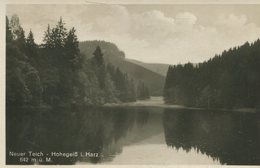 005317  Neuer Teich - Hohegeiss I. Harz - Braunlage