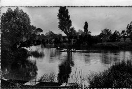 71 - BRANGES  - LA SEILLE  CARTE PHOTO 1954 - Autres & Non Classés