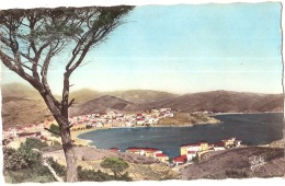 ***  66  *** BANYULS  Vue Générale - Timbre Décollé - Banyuls Sur Mer