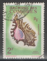 Comores - YT 21 Oblitéré - 1962 - Coquillage - Shell - Used Stamps