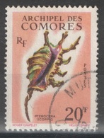 Comores - YT 23 Oblitéré - 1962 - Coquillage - Shell - Used Stamps