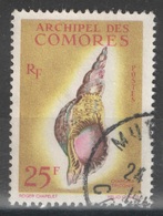 Comores - YT 24 Oblitéré - 1962 - Coquillage - Shell - Gebraucht