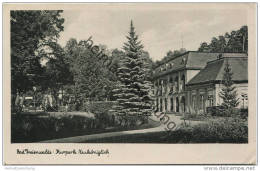 Bad Freienwalde - Kurpark Neuköniglich - Verlag Schöning & Co. Lübeck - Rückseite Beschrieben 1944 - Bad Freienwalde