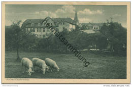 Eichstätt - Auf Der Klosterwiese - Institut Der Englischen Fräulein - Verlag Kettling & Krüger Schalksmühle - Eichstätt