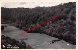 Vallée De La Houille - Felenne Beauraing - Beauraing