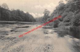 Vallée De Conges - Lacuisine - Florenville