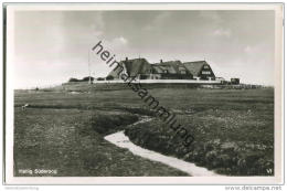 Hallig Süderoog - Foto-AK - Halligen