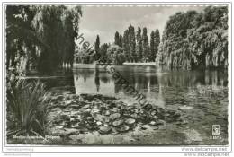 Berlin - Spandau - Südpark - Foto-AK - Spandau