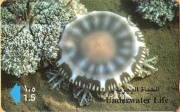 Oman - GPT, 41OMNG, Qurum Natural Park, Muscat - Underwater Life, 2/99, Used As Scan - Oman