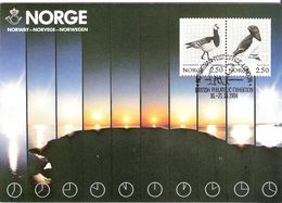 Norway Card 1984 Midnight Sun With Bird Stamps, Ice Bear, Special Cancellation British Philatelic Exebition, London - Maximumkarten (MC)