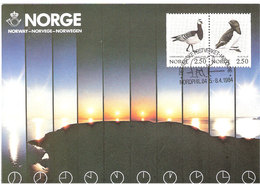 Norway Card 1984 Midnight Sun With Bird Stamps, Ice Bear In Special Cancellation Nordphil, Hvidovre 5.-8.4-1984, Card - Cartoline Maximum