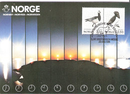 Norway Card 1984 Midnight Sun With Bird Stamps, Ice Bear In Special Cancellation 5. Int. Briefmarken Messe, Essen, Card - Maximum Cards & Covers