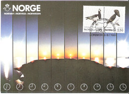 Norway Card 1984 Midnight Sun With Bird Stamps, Ice Bear In Special Cancellation Nordia '84, Reykjavik, Card - Maximumkarten (MC)