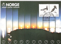 Norway Card 1984 Midnight Sun With Bird Stamps, Ice Bear In Special Cancellation Philatelia '84, Stuttgart, Card - Cartes-maximum (CM)