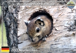 355 ZOO Neunkirchen, DE - Swinhoe's Striped Squirrel (Tamiops Swinhoei) - Kreis Neunkirchen