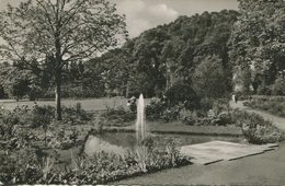 005324  Bad Kissingen - Partie Im Luitpoldpark  1956 - Bad Kissingen