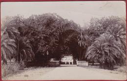 Old Rare Photo Card Postcard India Jhansi Park Uttar Pradesh 'Love Walk' British Time Empire 1909 - 1910 - Indien