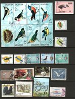 Birds Countries A-C - 50 X Used To Very Fine Used On 2 X Scans Cat £90+/- See Full Description Below - Golondrinas