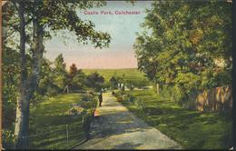 °°° 11630 - UK - CASTLE PARK , COLCHESTER °°° - Colchester