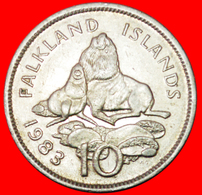 # SEA LIONS (1974-1992): FALKLAND ISLANDS ★ 10 PENCE 1983! LOW START ★ NO RESERVE! - Falklandinseln