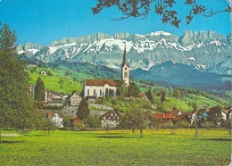 Gams - Mit Mutschen Und Kreuzberge           Ca. 1970 - Gams