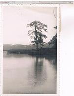 GUINEE CONAKRY  BORDS RIVIERE DULREKA 1950 PHOTO135X88 - Equatoriaal Guinea