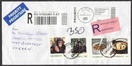 Monkey Chimpanzee / Austria St. Martin - Personal Stamp / Food Soup / Registered Priority Label Vignette Mail Cover - Schimpansen