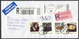 Monkey Chimpanzee / Austria St. Martin - Personal Stamp / Food Soup / Registered Priority Label Vignette Mail Cover - Chimpanzés