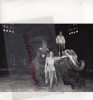 19 - BRIVE - CIRQUE PINDER ELEPHANT ELEPHANTS RARE PHOTO ORIGINALE 1990 - Brive La Gaillarde