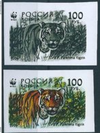 B2206 Russia Rossija Fauna Animal Cat-of-Prey Tiger (100 Rubel) 2 Different Colour Proof - Errores En Los Sellos