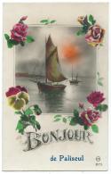 N°1 ANCIENNE CARTE FANTAISIE UN BONJOUR DE PALISEUL, BATEAU, PROVINCE DE LUXEMBOURG, BELGIQUE - Paliseul