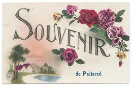 N°6 ANCIENNE CARTE FANTAISIE SOUVENIR DE PALISEUL, MAISONS, FLEURS, PROVINCE DE LUXEMBOURG, BELGIQUE - Paliseul