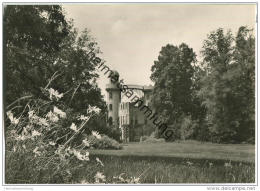 Berlin - Pfaueninsel - Schloss - Foto-AK 50er Jahre - Wannsee