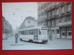 BELGIQUE - BRUXELLES - PHOTO 15X 10 - TRAM - TRAMWAY - LIGNE 83 - - Vervoer (openbaar)