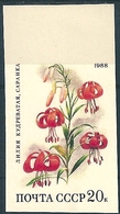 B2229 Russia USSR Flora Plant Flower Colour Proof - Fehldrucke