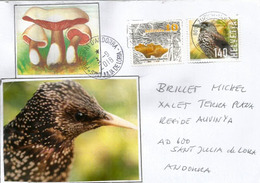 Swiss Nature: Oiseau Casse-Noix & Champignons ,année 2014, Sur Lettre Adressée Andorra Avec Timbre à Date Arrivée - Covers & Documents