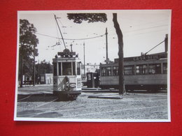 BELGIQUE - BRUXELLES - PHOTO 13.5 X 10 - TRAM - TRAMWAY - LIGNE 20 -- - Vervoer (openbaar)