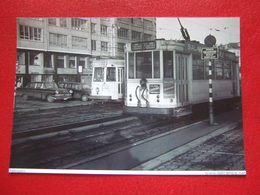 BELGIQUE - BRUXELLES -  ANVERS  PHOTO 15 X 10 - TRAM - TRAMWAY - LIGNE  102 - ZUID - - Vervoer (openbaar)