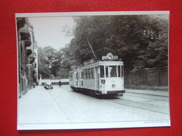 BELGIQUE - BRUXELLES -  ANVERS  PHOTO 13.5 X 10 - TRAM - TRAMWAY - LIGNE  74 - PORTE DE TERWREN - - Vervoer (openbaar)