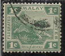 MALAYA MALAISIE MALESIA FEDERATED STATES 1901 1910 WILD FAUNA TIGER TIGRE CENT. 1c USATO USED OBLITERE' - Fédération De Malaya