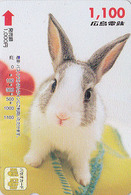 Carte Prépayée JAPON - ANIMAL - LAPIN - RABBIT JAPAN Prepaid Bus Card - KANINCHEN - CONEJO V2 - Hiro 230 - Rabbits